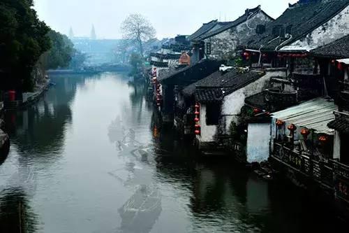 郑钦文 又一个谷爱凌般的优质偶像